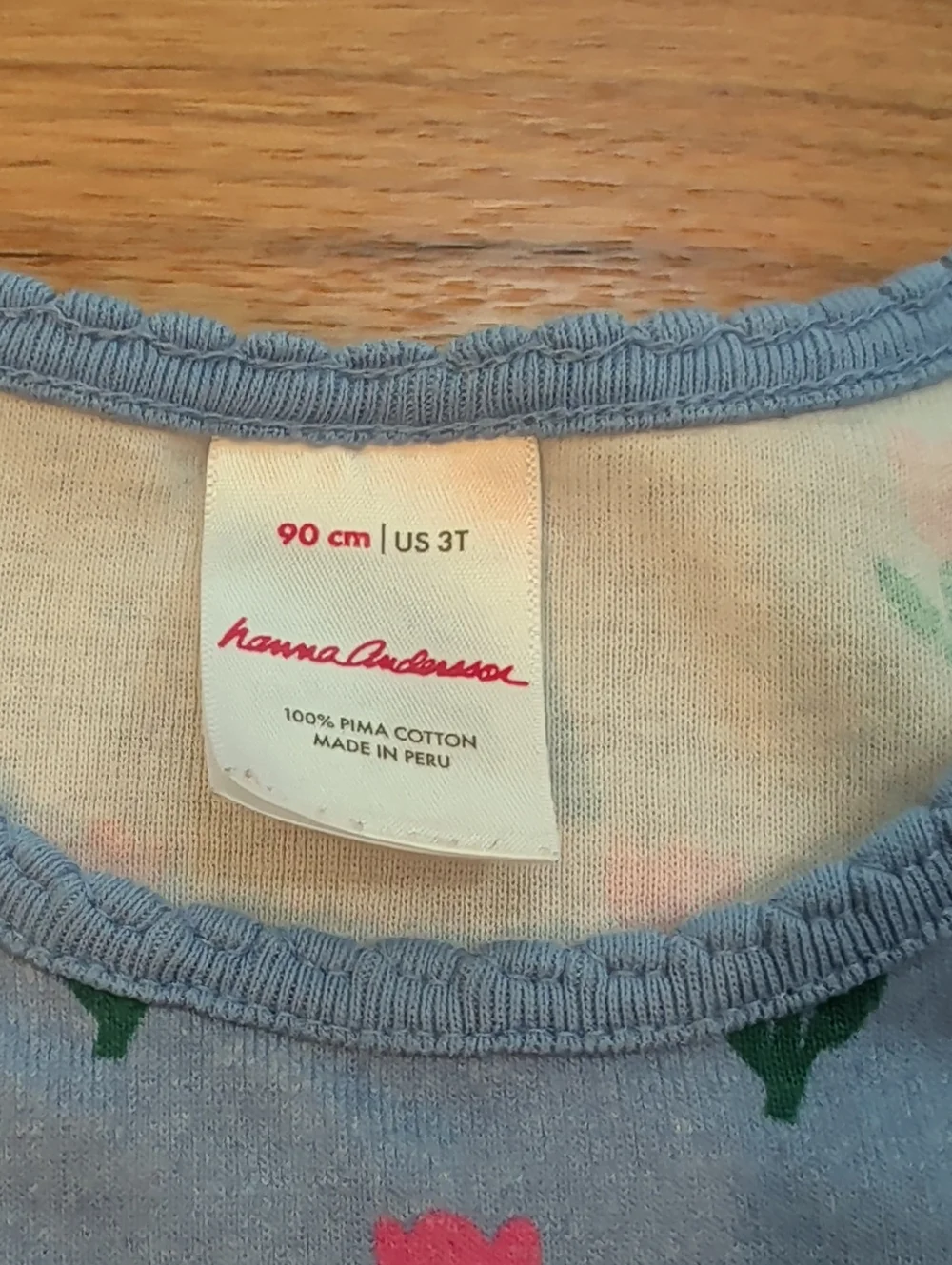 Hanna Andersson Blue Tee with Pink Tulip Print